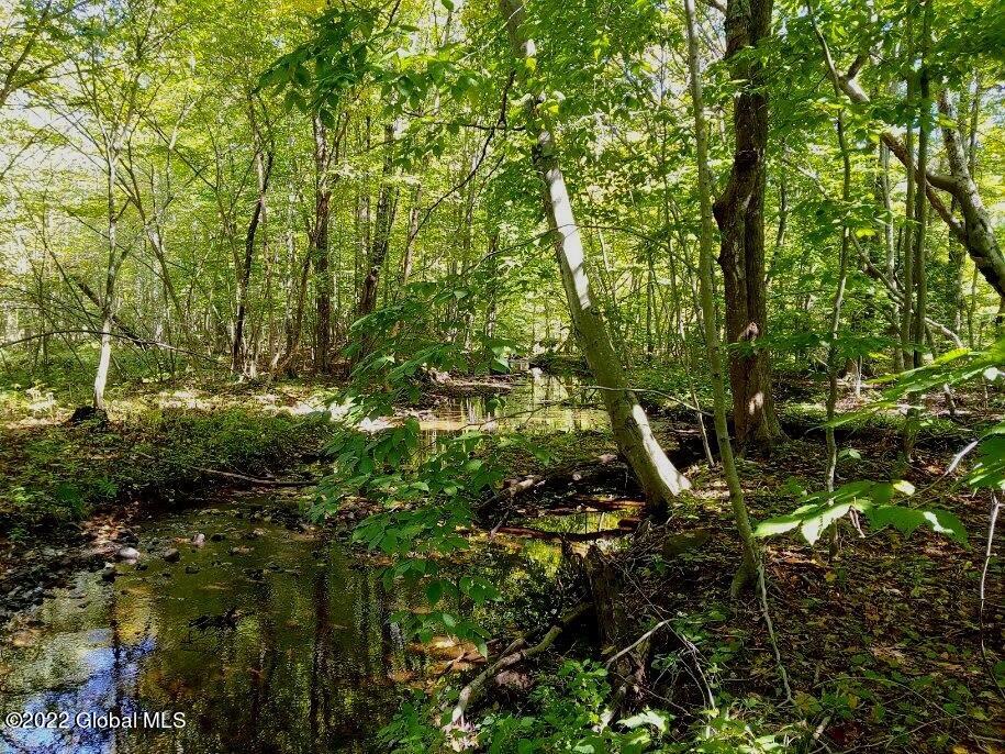 0 Mead Road Nassau, NY 12123 - Photo 11 of 13 creek