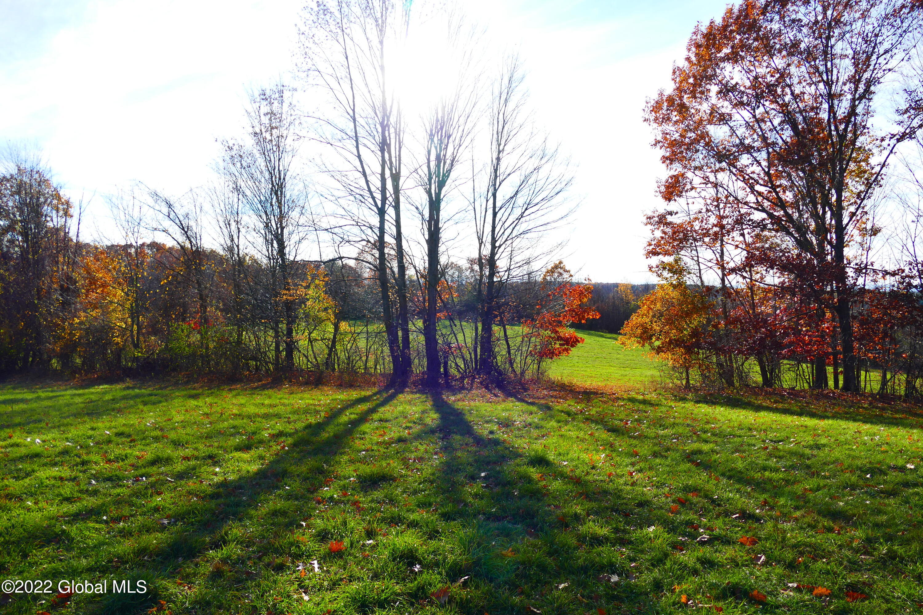 0 Mead Road Nassau, NY 12123 - Photo 5 of 13 P1100584