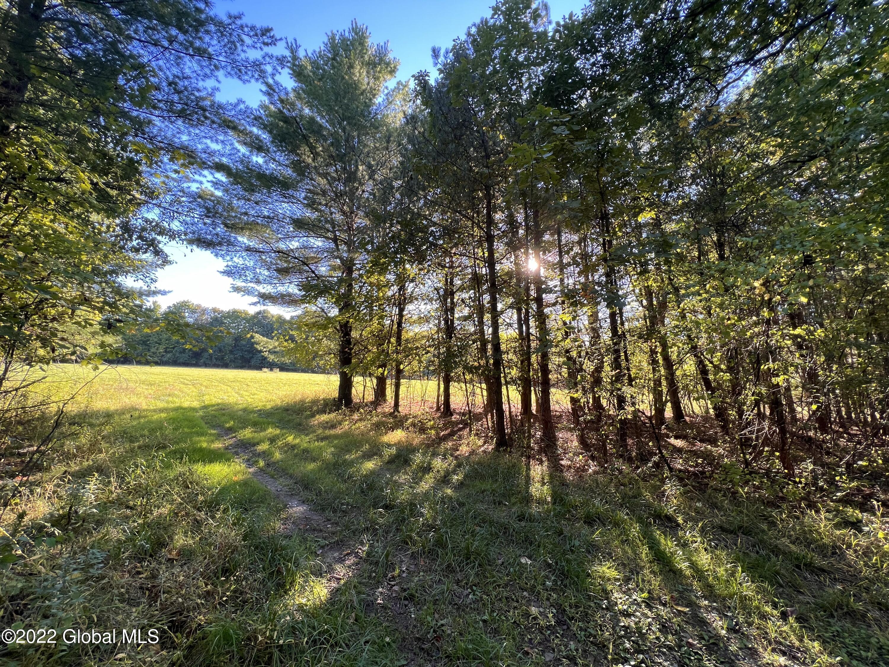 0 Mead Road Nassau, NY 12123 - Photo 6 of 13 IMG_5074