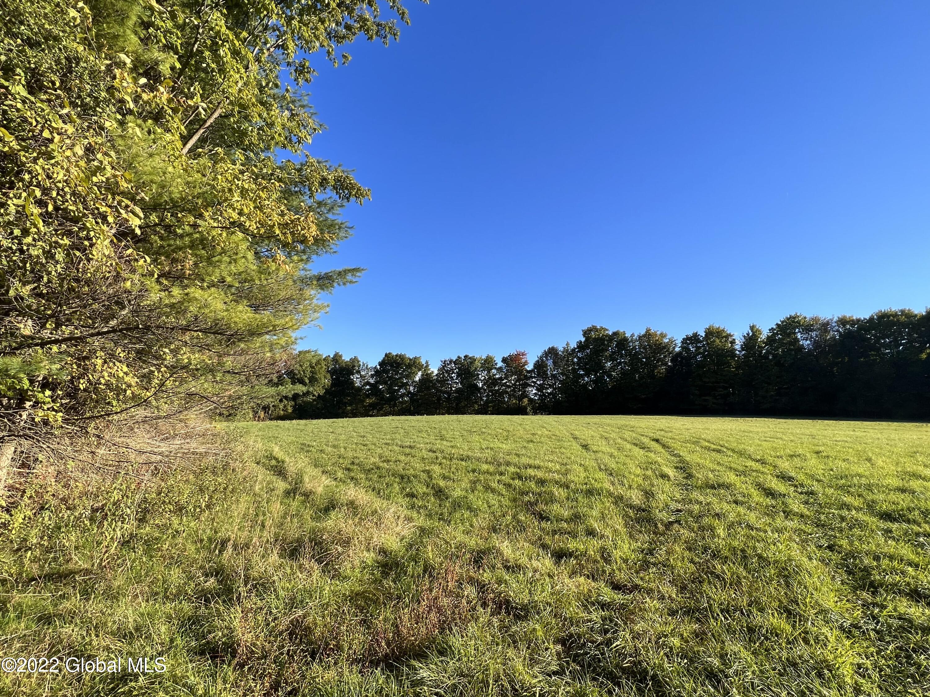 0 Mead Road Nassau, NY 12123 - Photo 8 of 13 IMG_5079