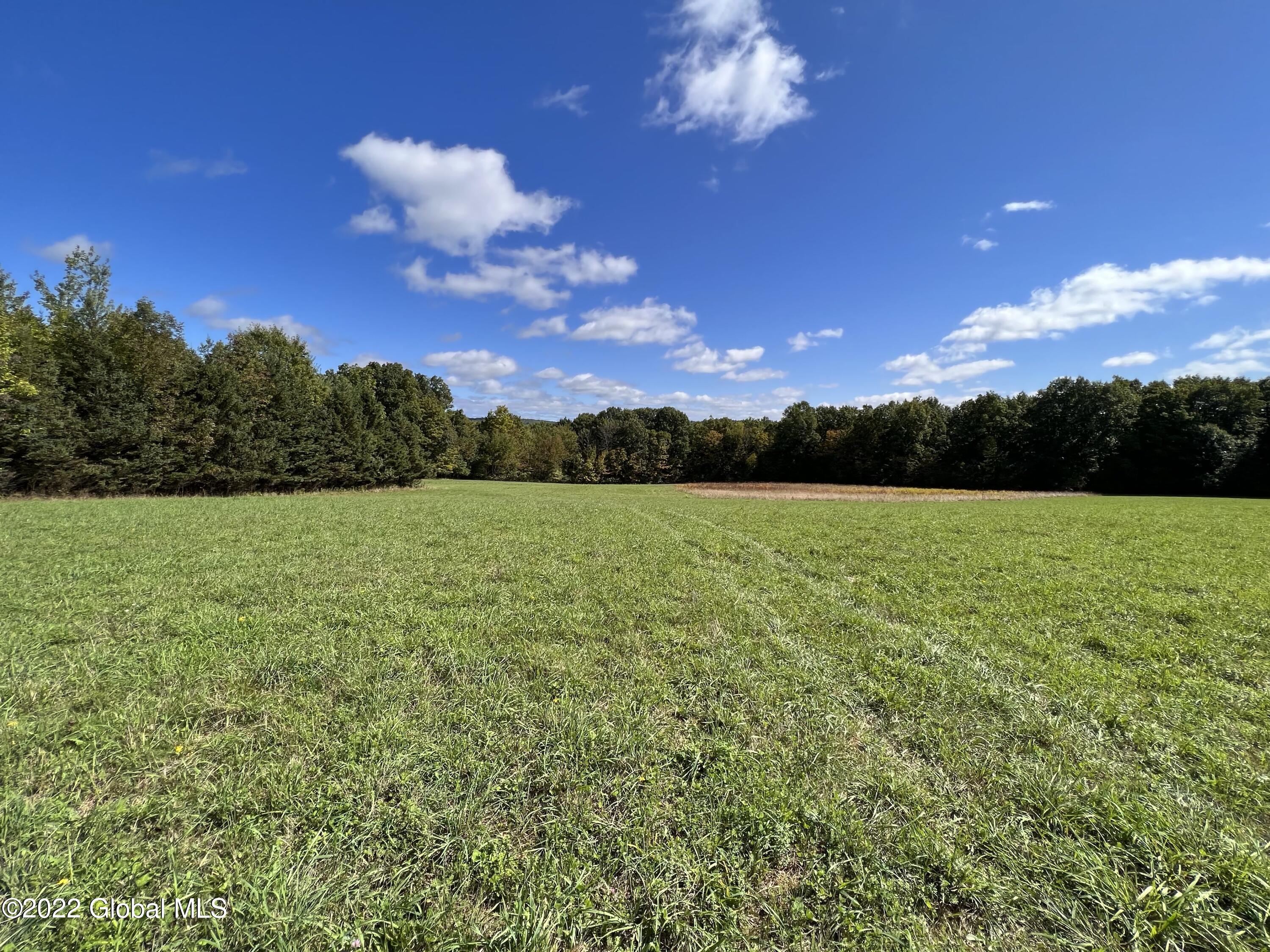 0 Mead Road Nassau, NY 12123 - Photo 10 of 13 upper lot