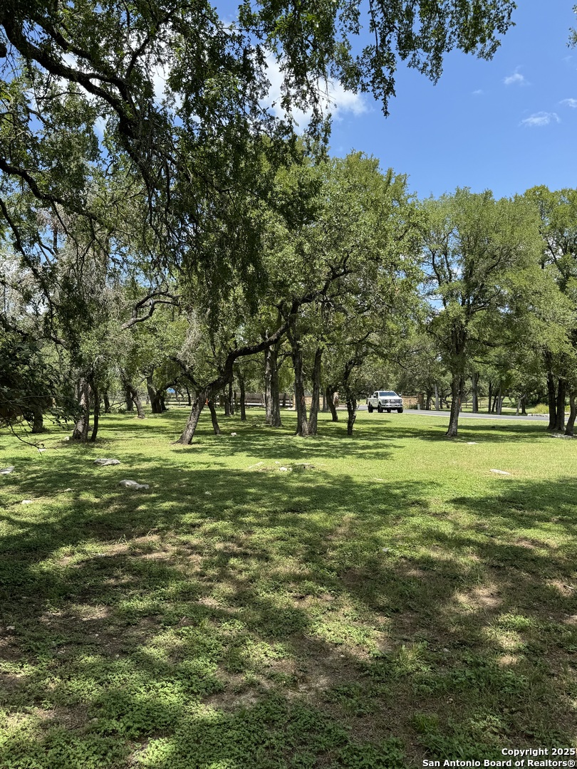 506 Carriage House Spring Branch, TX 78070 - Photo 4 of 6 a huge green field with lots of trees