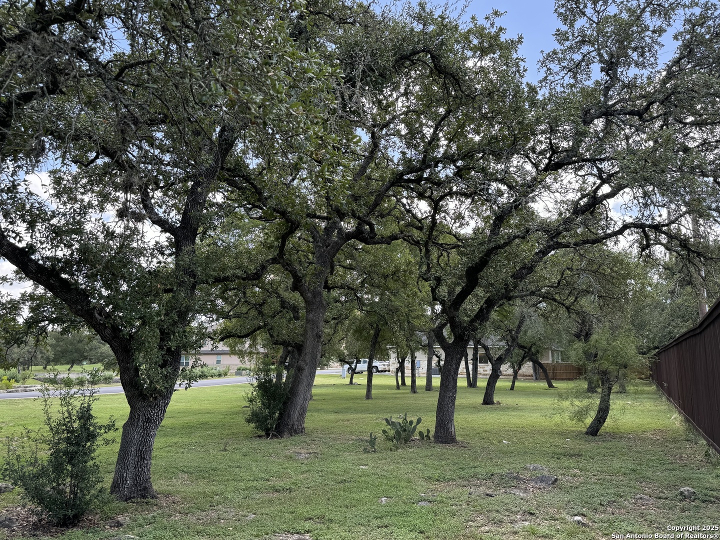 506 Carriage House Spring Branch, TX 78070 - Photo 5 of 6 a view of a trees in a yard