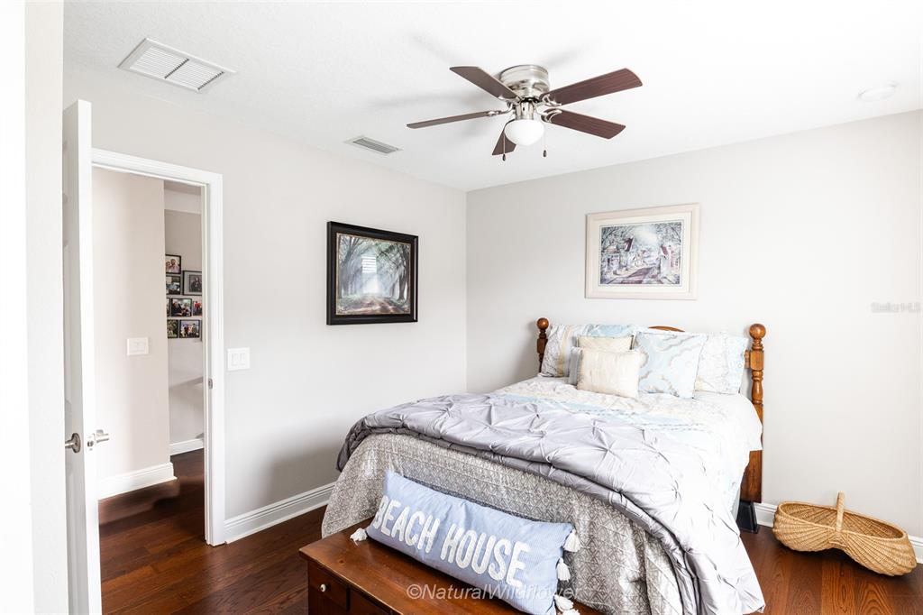 12556 Rangeland Boulevard Odessa, FL 33556 - Photo 25 of 29 a bedroom with a bed and wooden floor