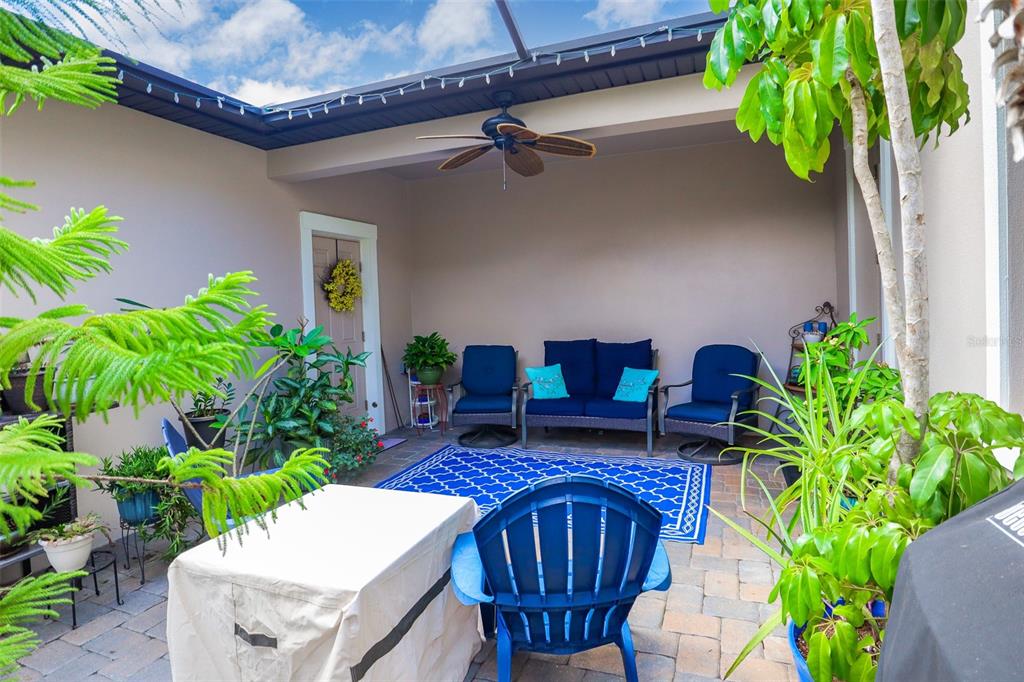 12556 Rangeland Boulevard Odessa, FL 33556 - Photo 27 of 27 a view of yard with patio