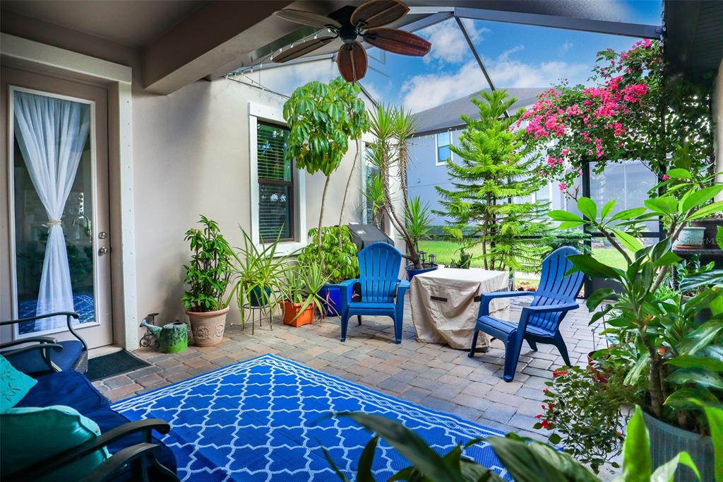 12556 Rangeland Boulevard Odessa, FL 33556 - Photo 3 of 27 a view of a backyard with sitting area