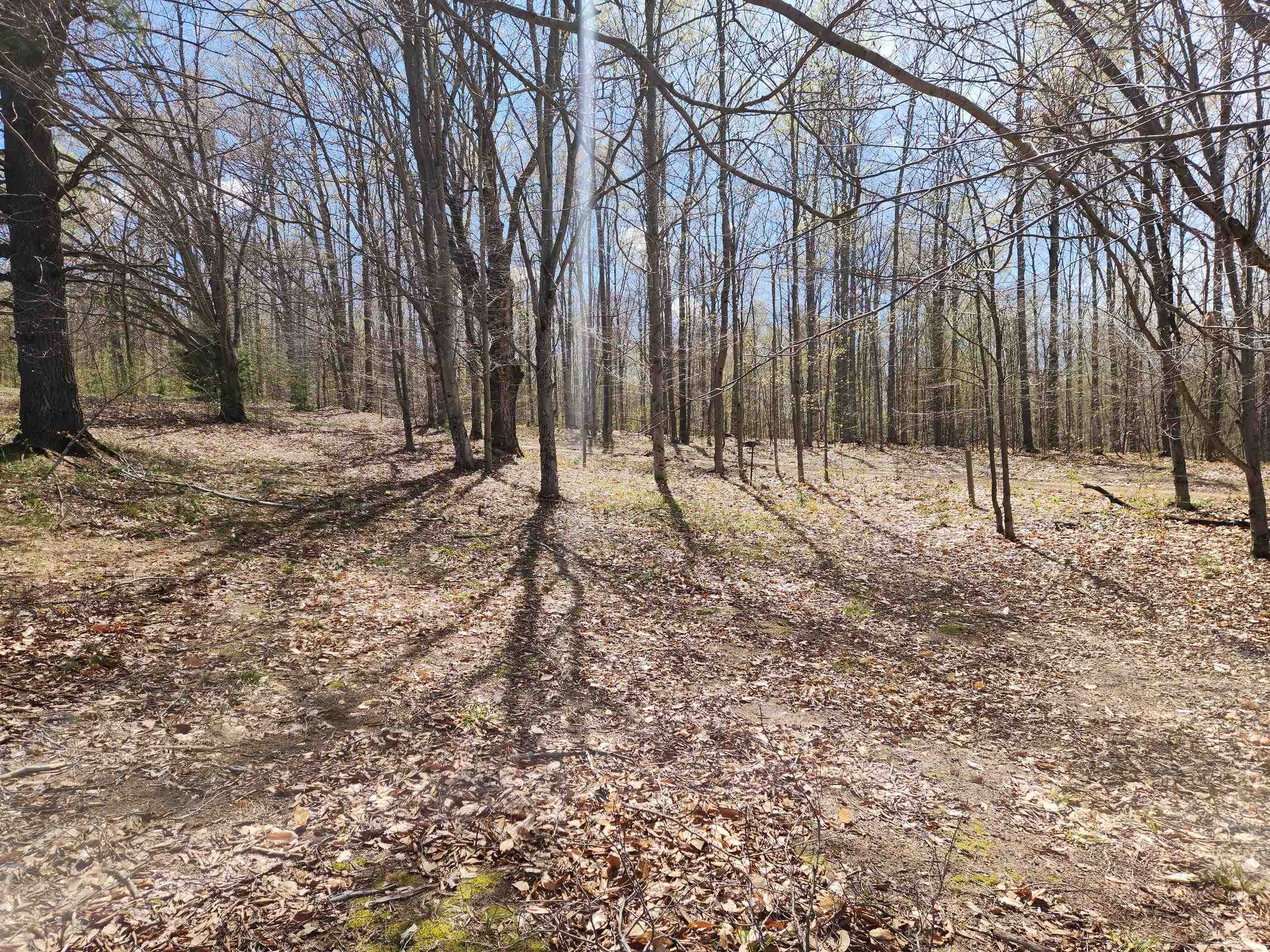 7777 Henschell Road Southwest South Boardman, MI 49680 - Photo 24 of 31
