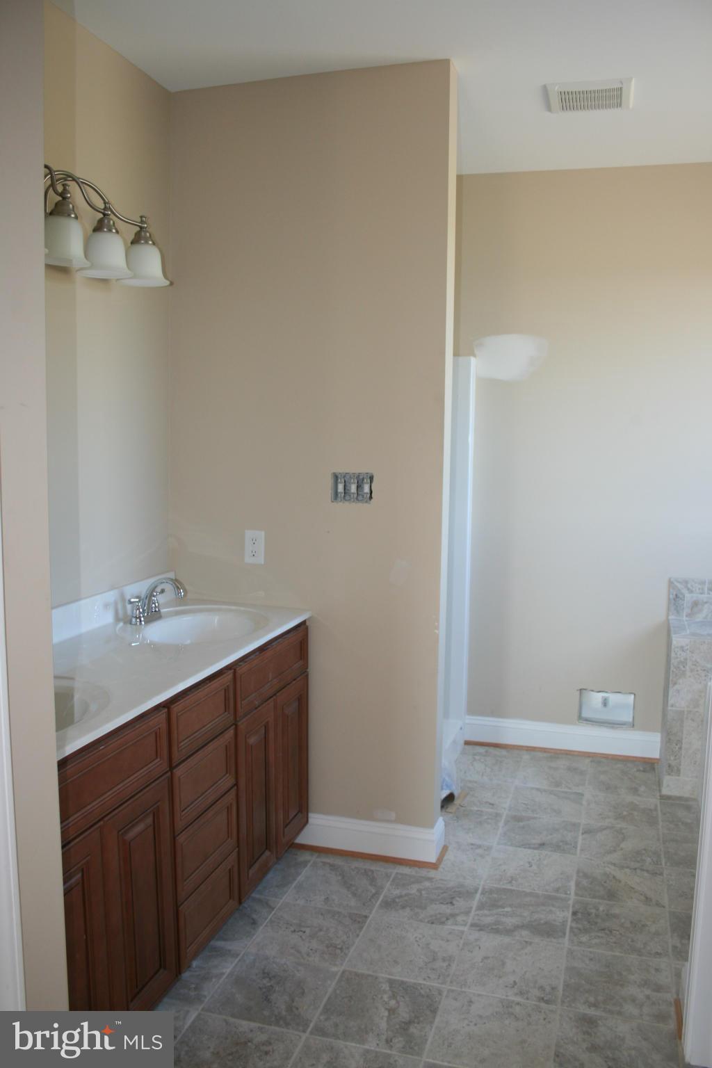 3233 Back Mountain Road Winchester, VA 22602 - Photo 17 of 25 Bath (Master)