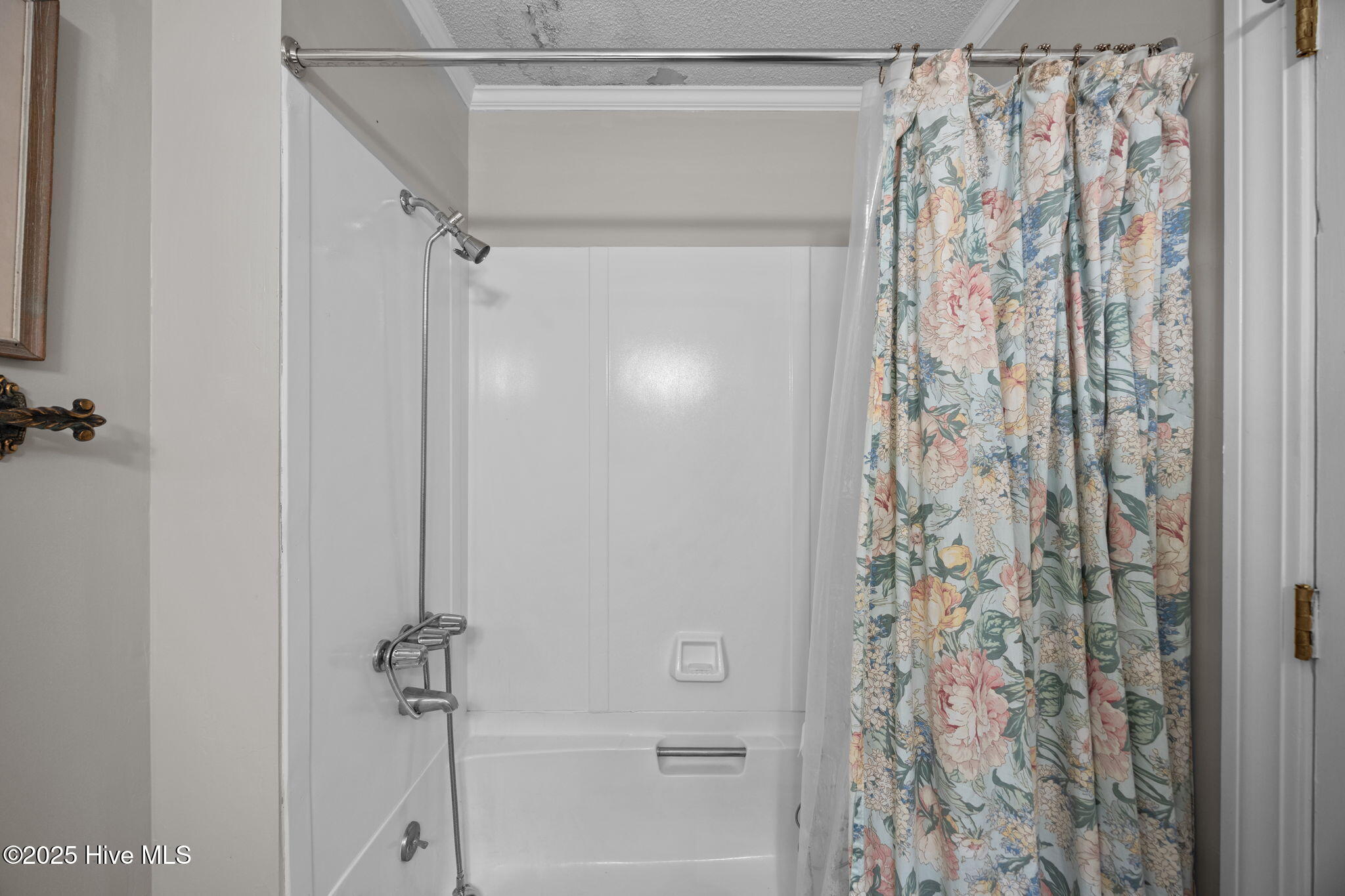 1813 Worthington Road Greenville, NC 27858 - Photo 16 of 33 25-web-or-mls-BLS_0057