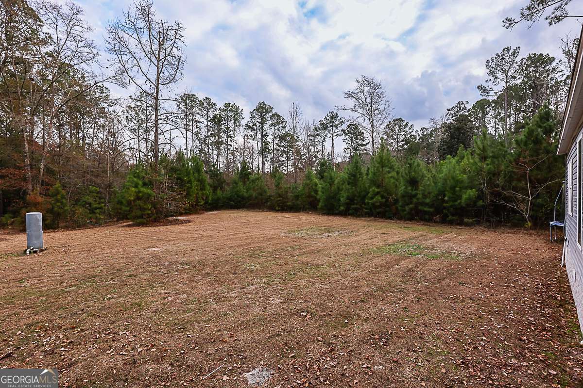 218 Sweet Gum Drive Springfield, GA 31329 - Photo 26 of 31