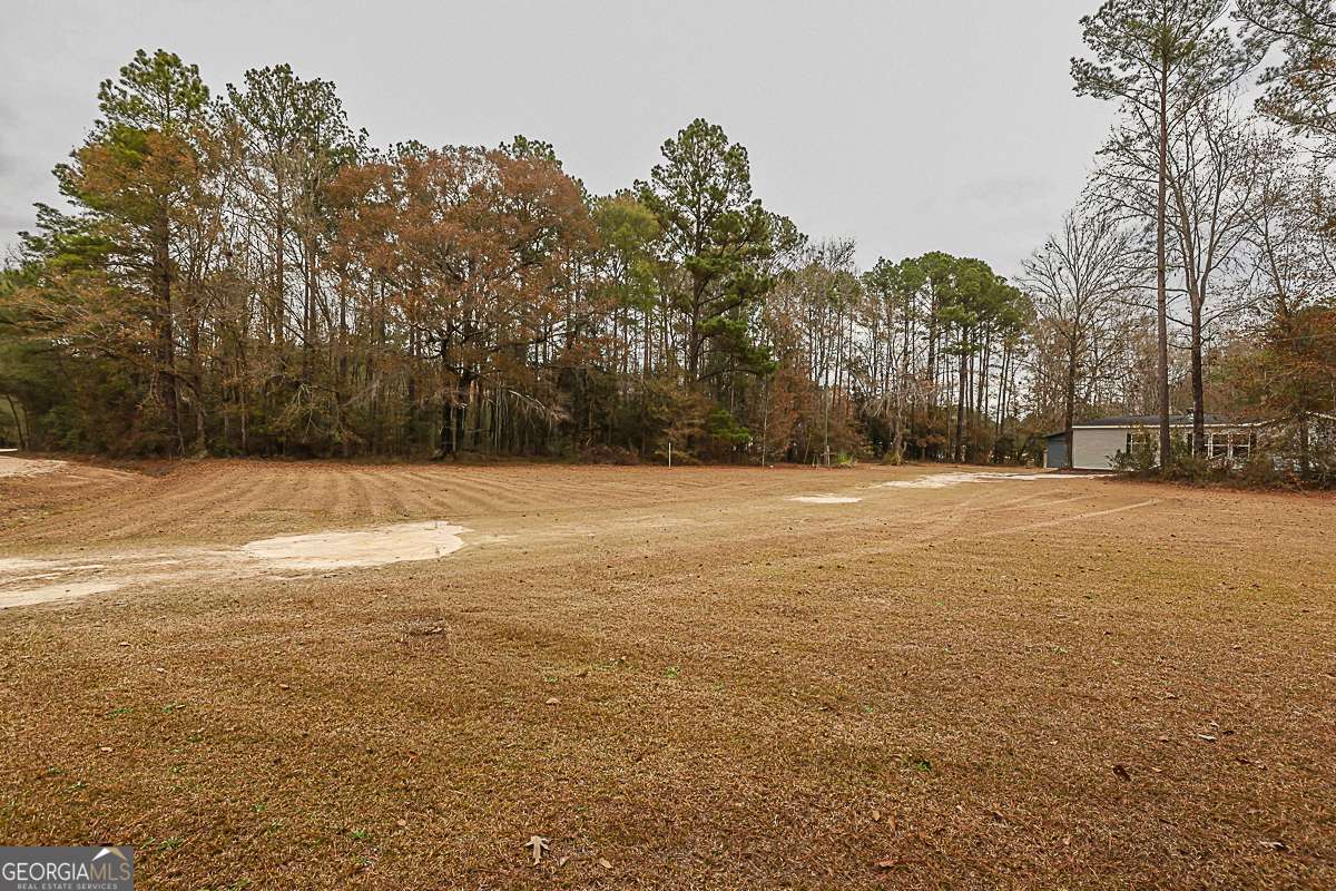 218 Sweet Gum Drive Springfield, GA 31329 - Photo 6 of 31