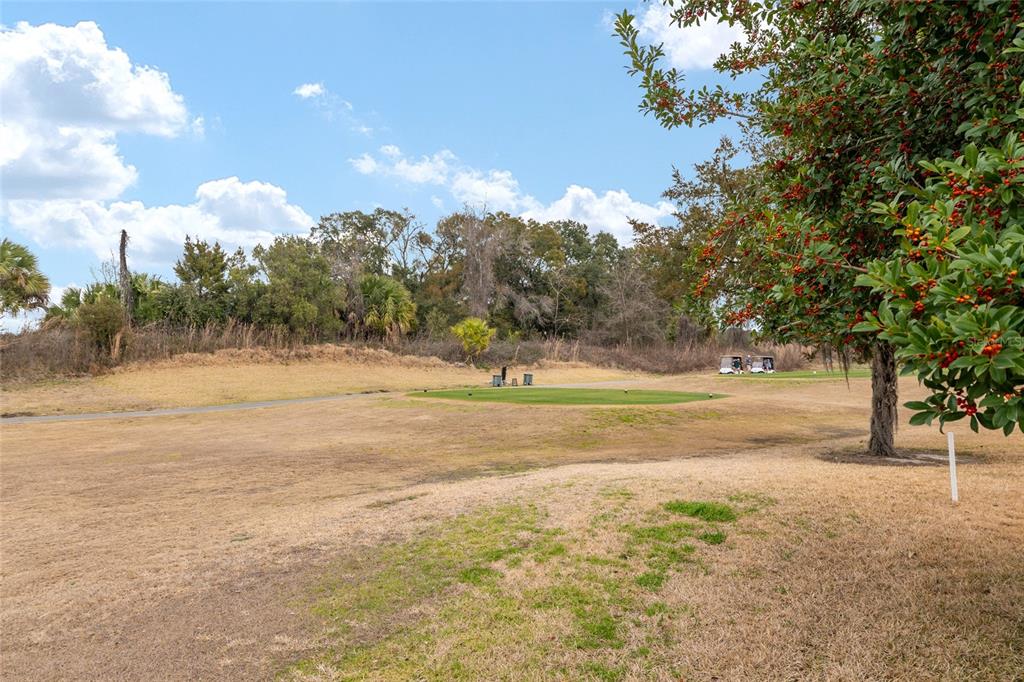 15050 Southwest 14th Avenue Road Ocala, FL 34473 - Photo 57 of 82