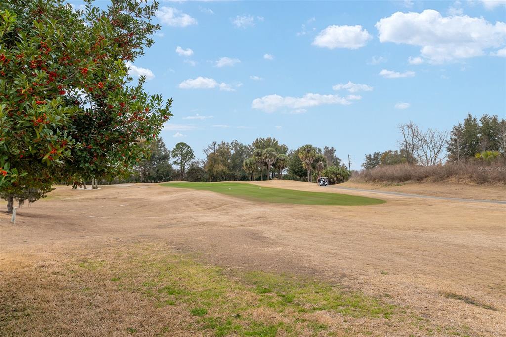 15050 Southwest 14th Avenue Road Ocala, FL 34473 - Photo 59 of 82