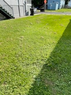 3829 Fourth Street New Orleans, LA 70125 - Photo 2 of 3