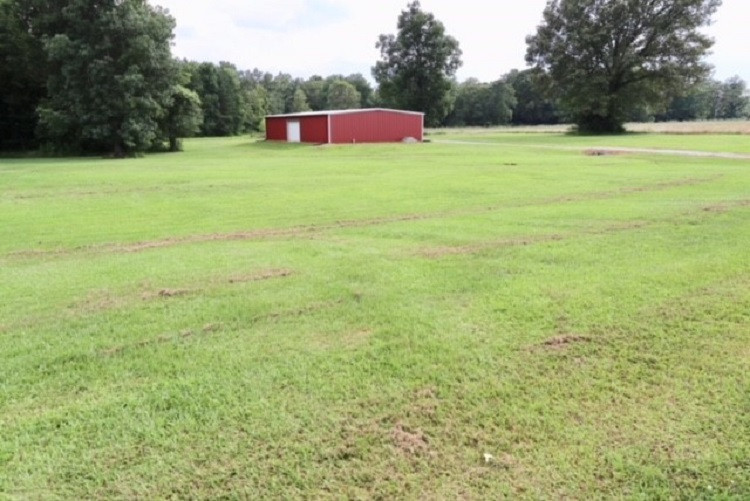 901 Red Oak Road Pelahatchie, MS 39145 - Photo 8 of 42 Photo 8