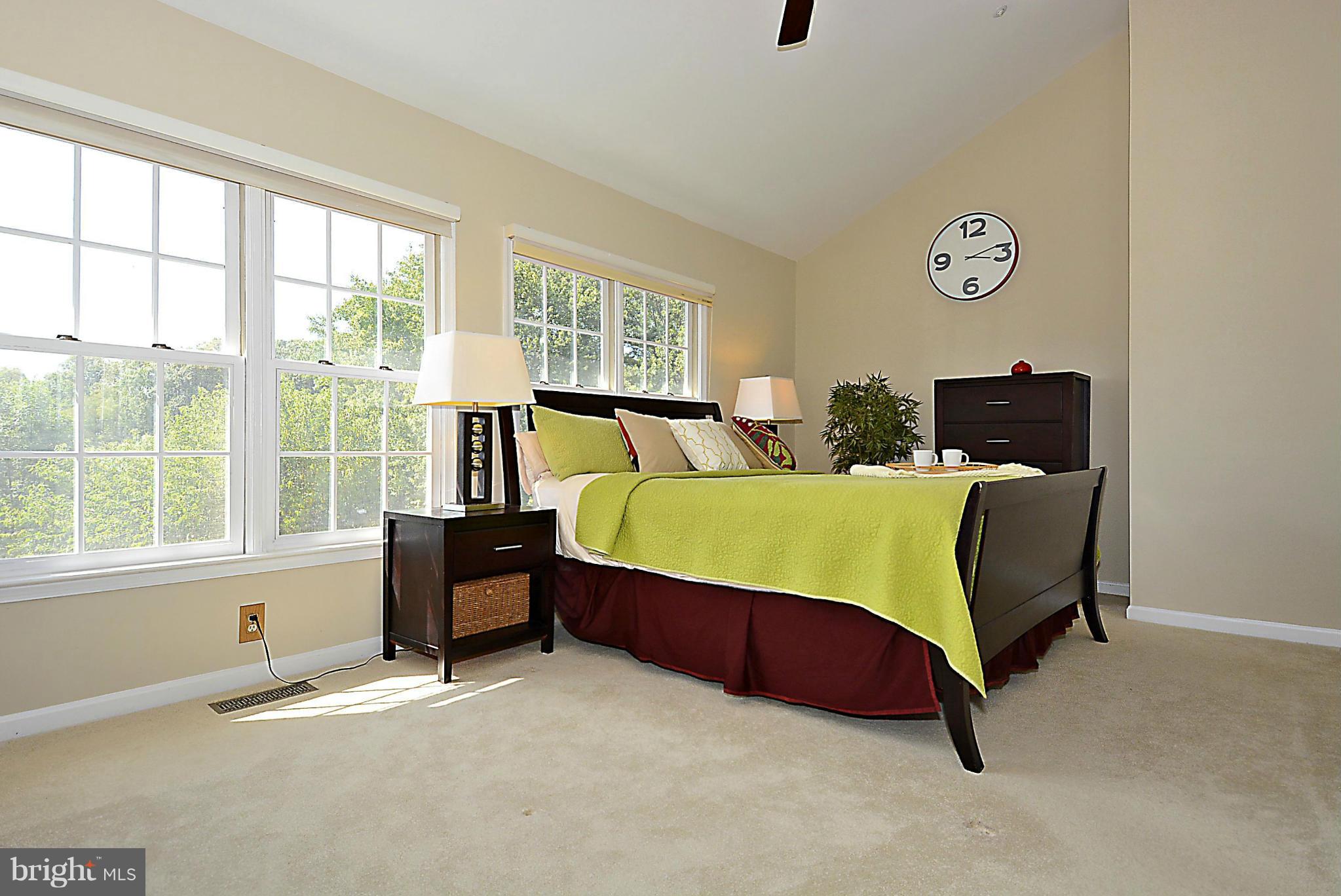 110 Hart Road Gaithersburg, MD 20878 - Photo 11 of 30 Master bedroom with lake view