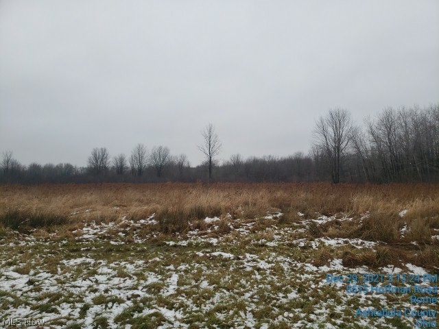5515 Hoffman Road Rome, OH 44085 - Photo 6 of 23 Back Field