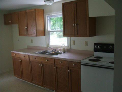 4247 Sycamore Road Palmyra, MI 49268 - Photo 4 of 8 949058-3.JPG