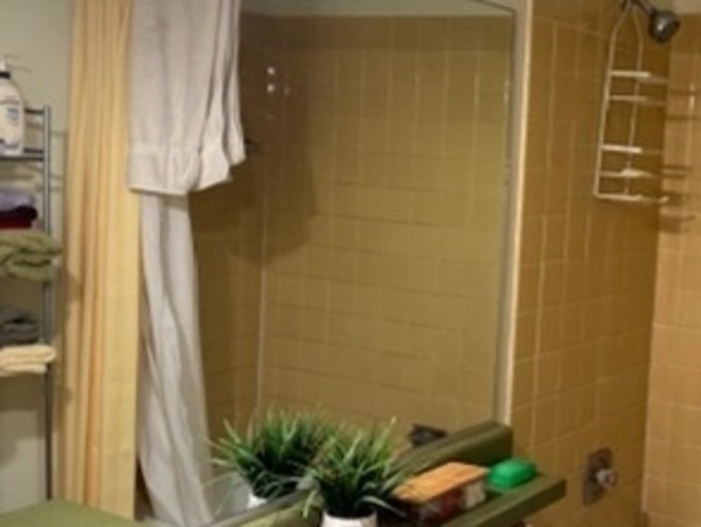 14647 Greenwood Road, Unit 312 Dolton, IL 60419 - Photo 5 of 12 a bathroom with a shower