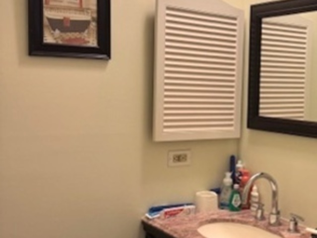 14647 Greenwood Road, Unit 312 Dolton, IL 60419 - Photo 7 of 12 a bathroom with a sink and a mirror