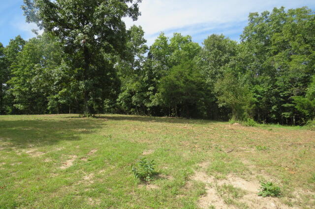 0 Old Jericho Road Seymour, MO 65746 - Photo 1 of 1 IMG_6430