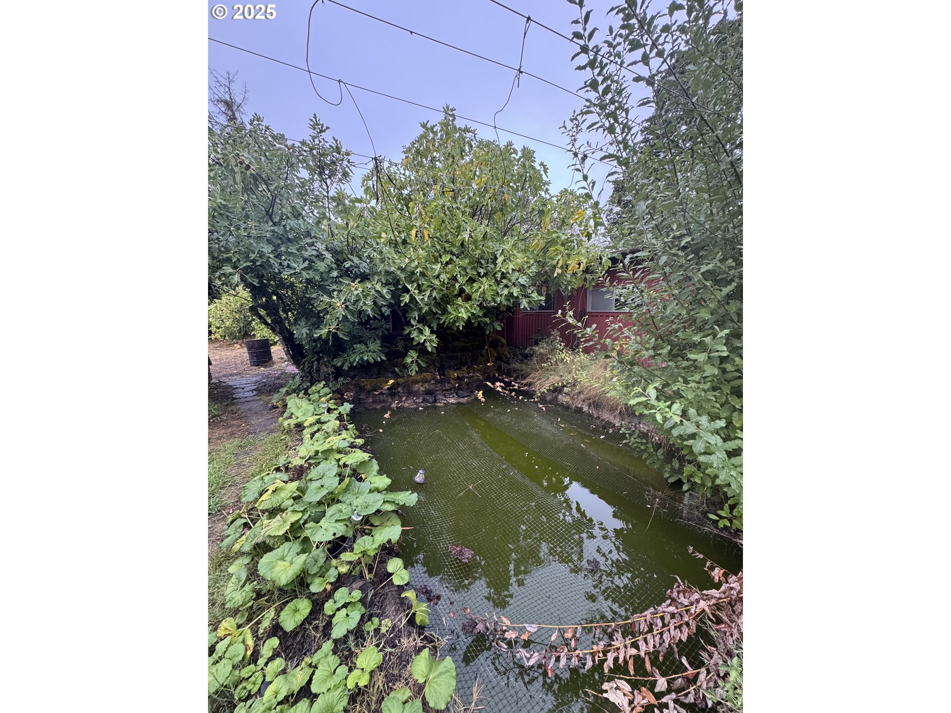 31970 Fern Road Philomath, OR 97370 - Photo 15 of 23