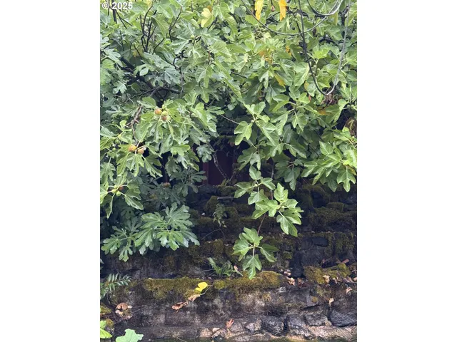 $299,900 | 31970 Fern Road, Philomath, OR 97370