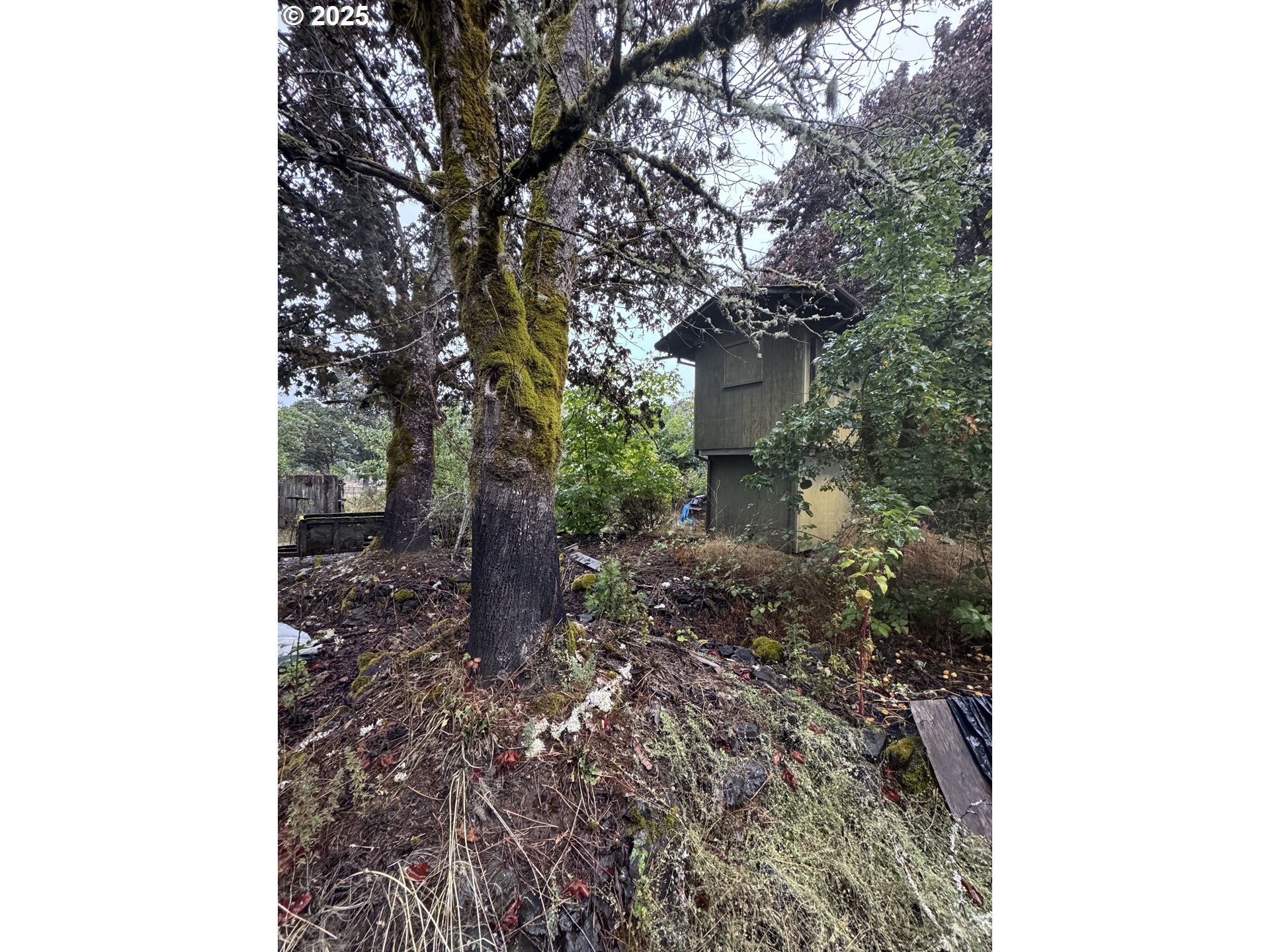 31970 Fern Road Philomath, OR 97370 - Photo 21 of 23