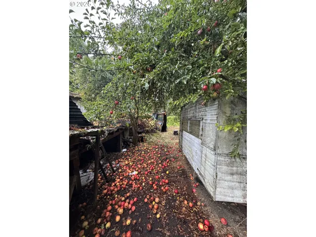 $299,900 | 31970 Fern Road, Philomath, OR 97370