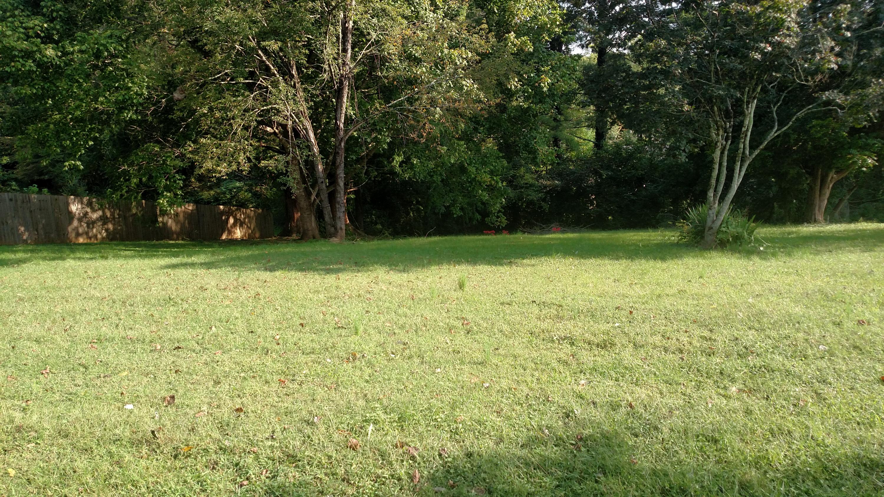 110 Salem Road Oak Ridge, TN 37830 - Photo 11 of 11 IMG_20170915_101411059