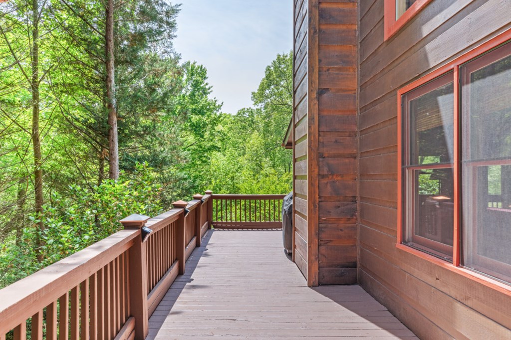 1204 Brookhaven Lane Blue Ridge, GA 30513 - Photo 26 of 44