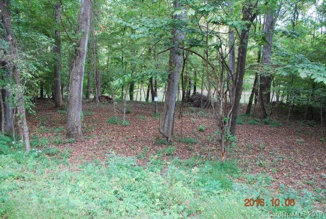Lot 1 Lake James Road, Unit 1 Marion, NC 28752 - Photo 12 of 14 Gallery Image 12