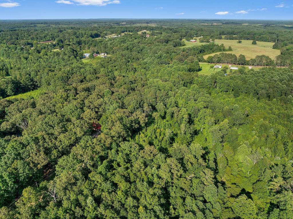 156 Barham Road Jasper, AL 35503 - Photo 34 of 37 DJI_20250715151359_0126_D-8-2