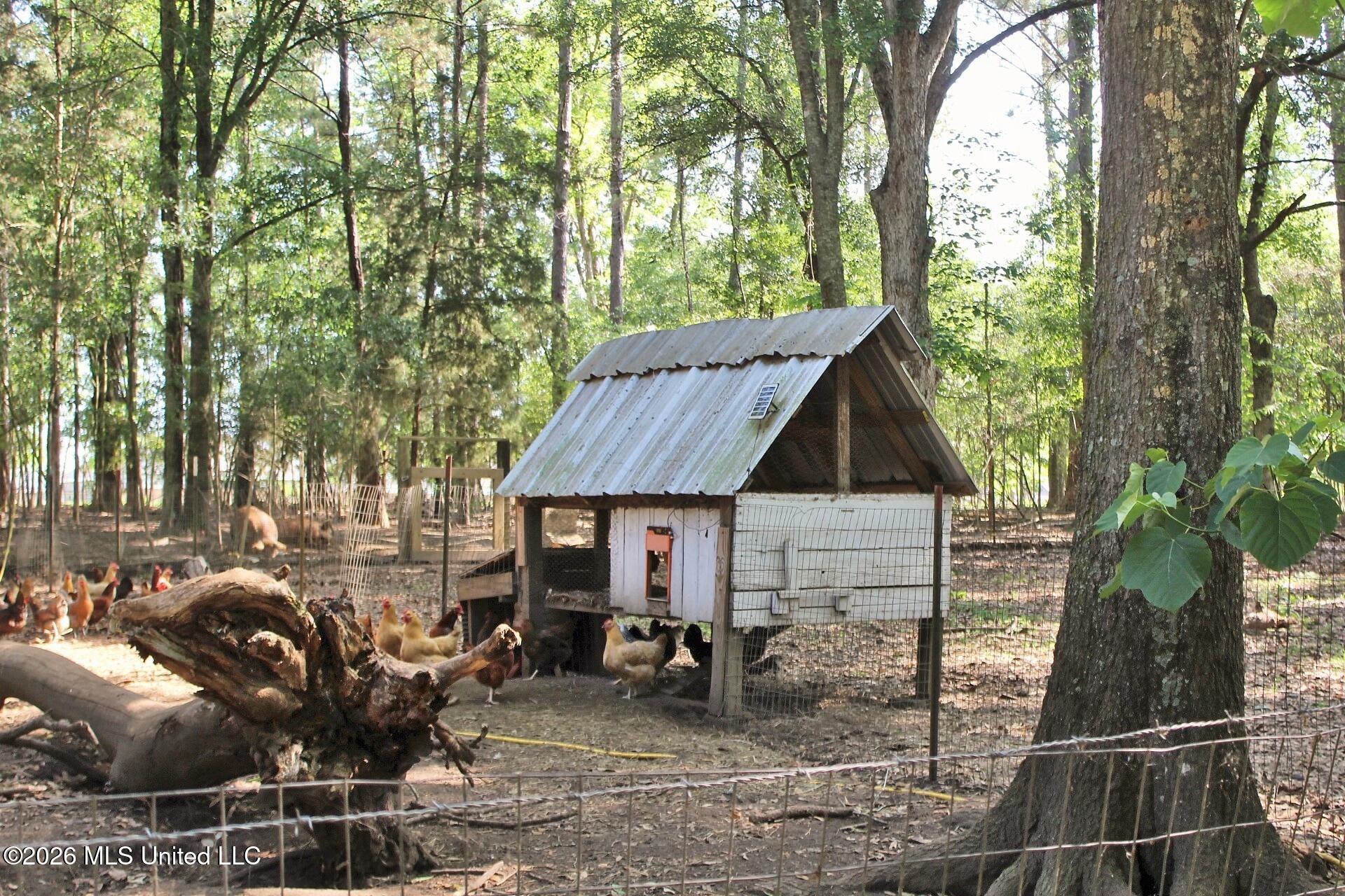 254 Dozier Rogers Road Lucedale, MS 39452 - Photo 53 of 58 62