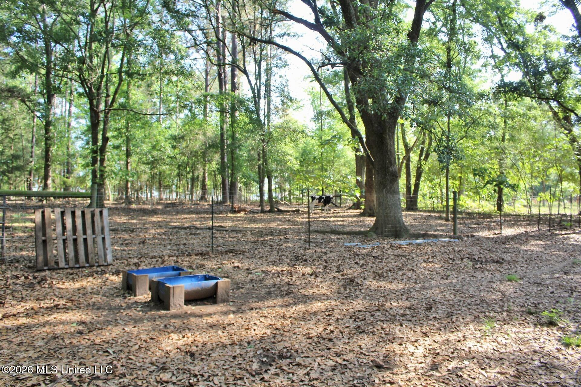 254 Dozier Rogers Road Lucedale, MS 39452 - Photo 54 of 58 63
