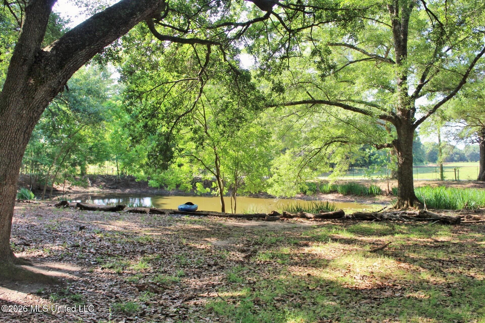 254 Dozier Rogers Road Lucedale, MS 39452 - Photo 55 of 58 64