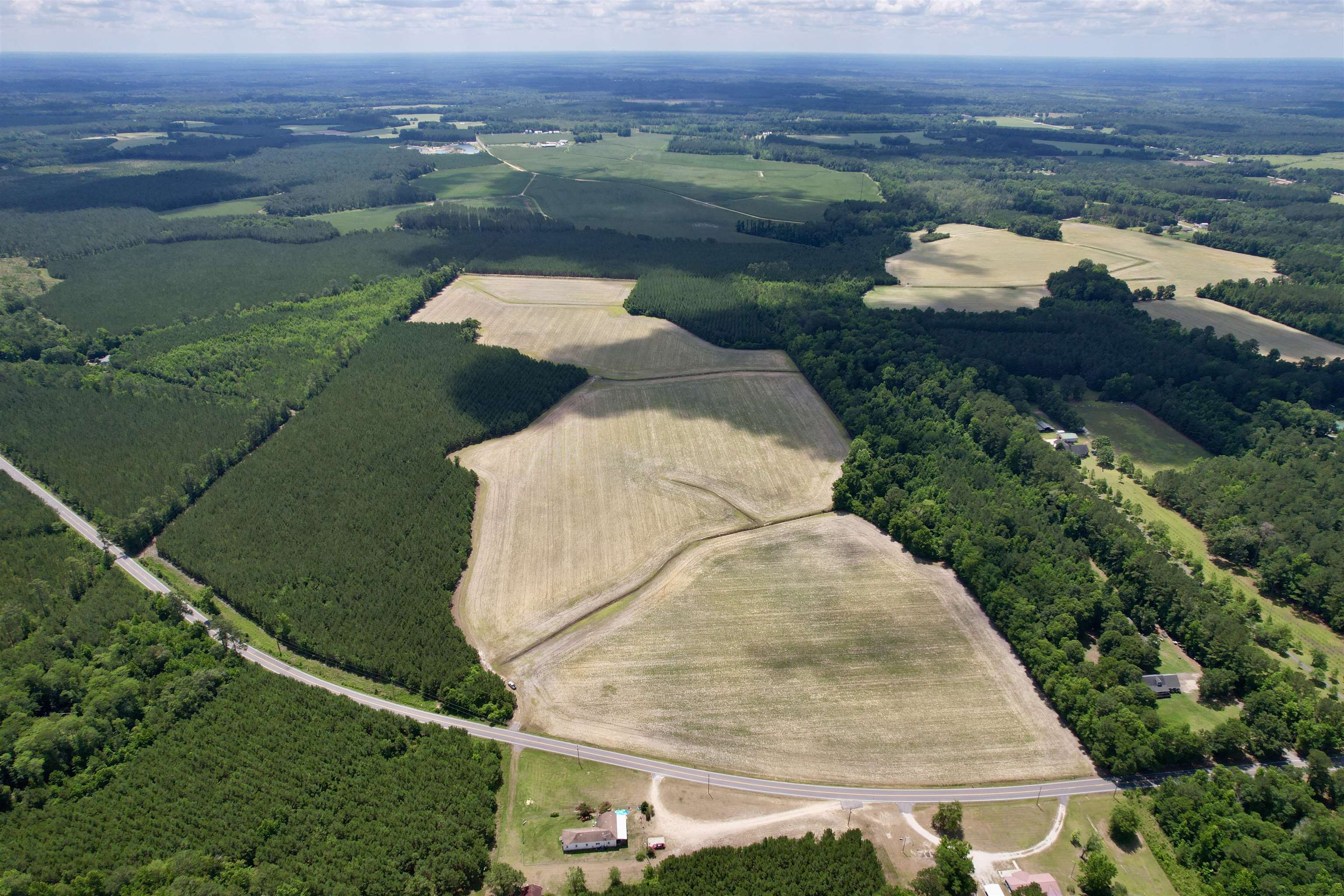 83.03-acres - Birch Creek Road Andrews, SC 29510 - Photo 2 of 25