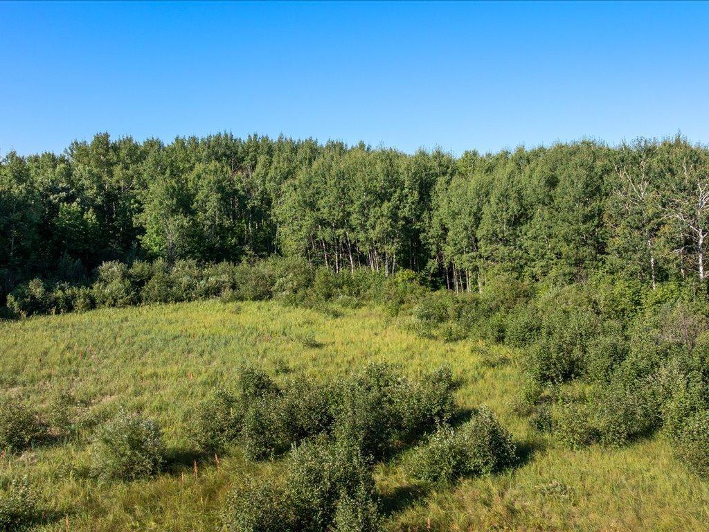 Tbd Meadowview Road Pierz, MN 56364 - Photo 21 of 30 Gallery Image 21