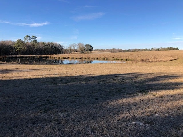 15-ac Cravey Bridge Road Florala, AL 36442 - Photo 7 of 16 Gallery Image 7