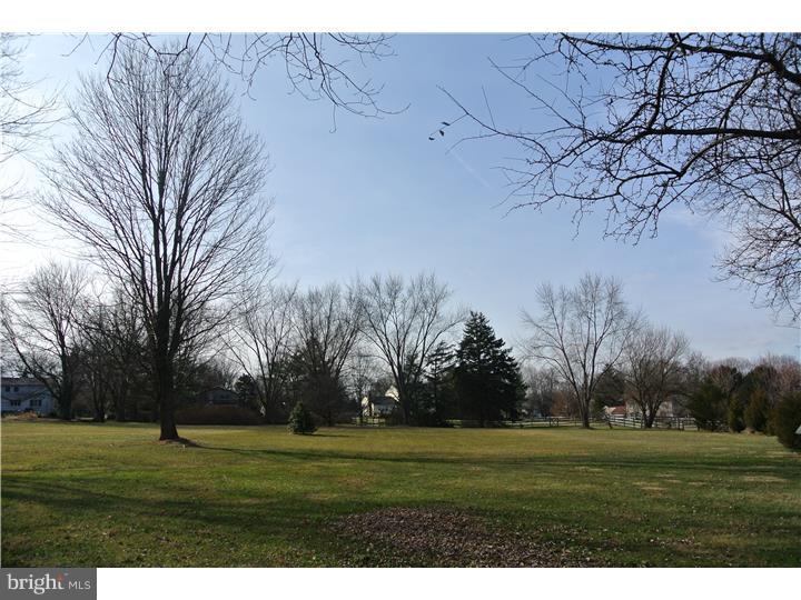 203 Pebble Ridge Road Warrington, PA 18976 - Photo 11 of 25 Back Yard