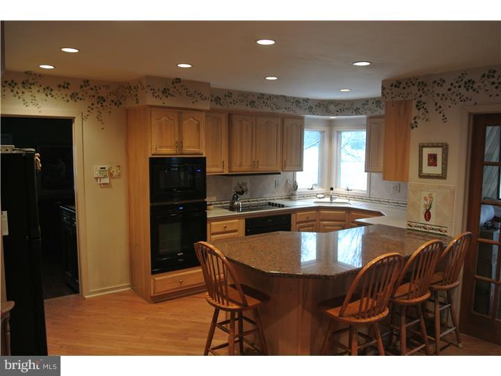 203 Pebble Ridge Road Warrington, PA 18976 - Photo 6 of 25 Kitchen