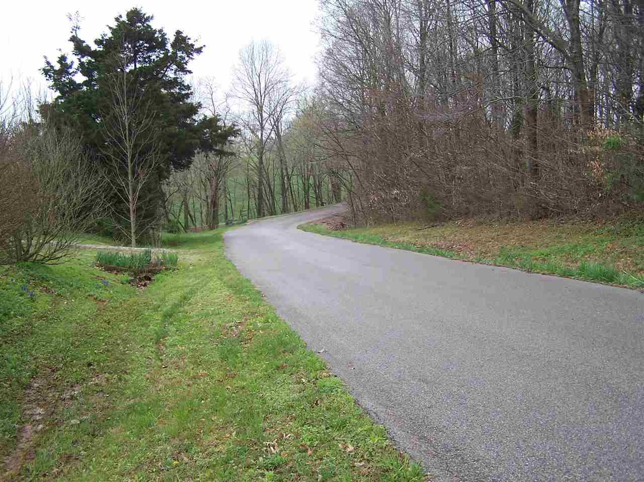 1381 Poplar Grove Road Summer Shade, KY 42166 - Photo 21 of 22 Gallery Image 21