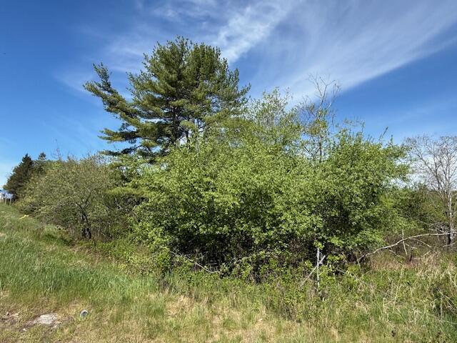 0 Brookside Road Orland, ME 04472 - Photo 10 of 11 IMG_3924