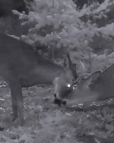 $520,000 | 5141 90th Avenue, Lakeview, MI 48850