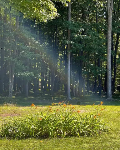 $520,000 | 5141 90th Avenue, Lakeview, MI 48850