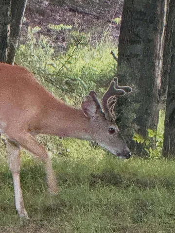 $520,000 | 5141 90th Avenue, Lakeview, MI 48850