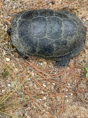 $520,000 | 5141 90th Avenue, Lakeview, MI 48850