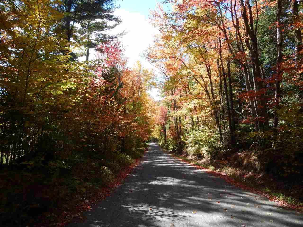 132 Toad Hill Road Sugar Hill, NH 03586 - Photo 3 of 31 Gallery Image 3