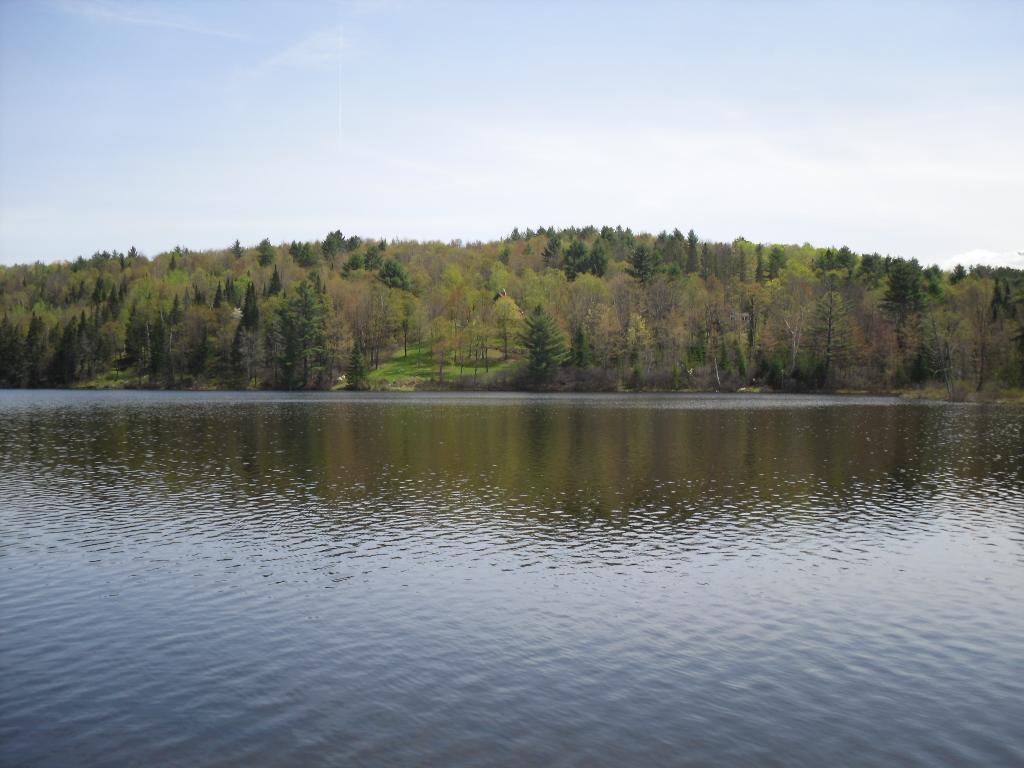 132 Toad Hill Road Sugar Hill, NH 03586 - Photo 31 of 31 Gallery Image 31
