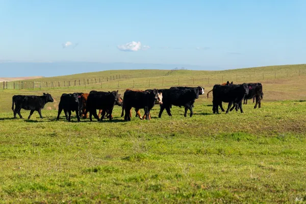 $5,300,000 | 17775 Long Hollow Road, Corning, CA 96021